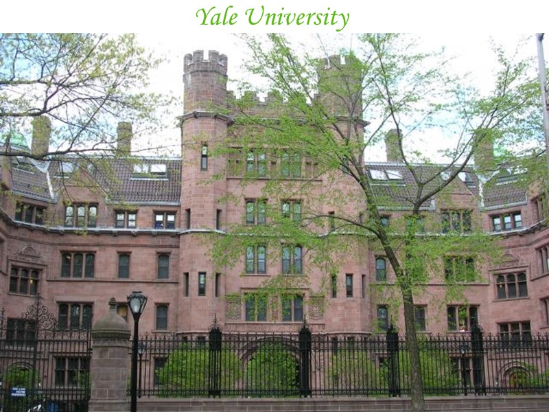 Yale University